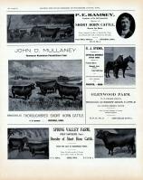 Advertisement 011, Winneshiek County 1905